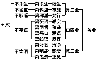 www.syhcn.com